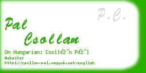 pal csollan business card